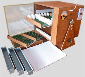 incubator "graying M-25"