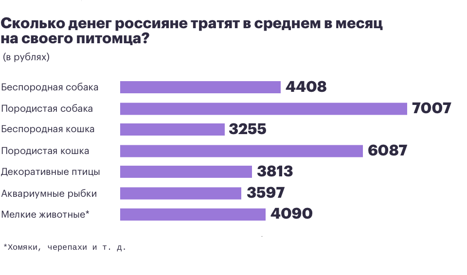 Бизнес план зоомагазина