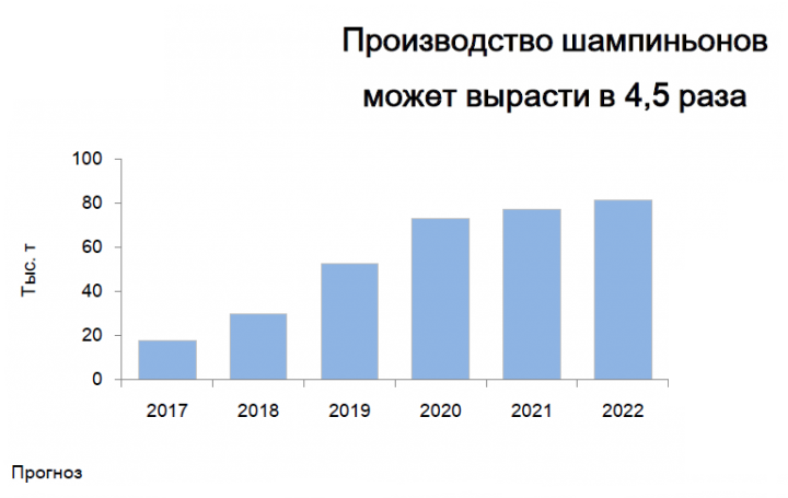 Реферат: Бізнес план по вирощуванню грибів