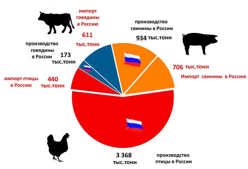 STATISTICS FOR THE PRODUCTION OF MEAT AND BALANCES