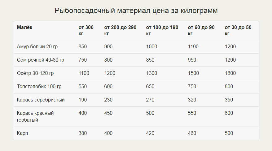 Business fish breeding plan