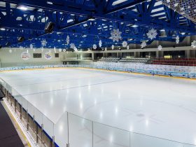 Business plan for an ice rink