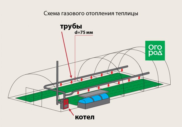 Бізнес план вирощування полуниці