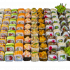 How to choose the best sushi and rolls delivery service in Tyumen: What it offers “Makarollich”?